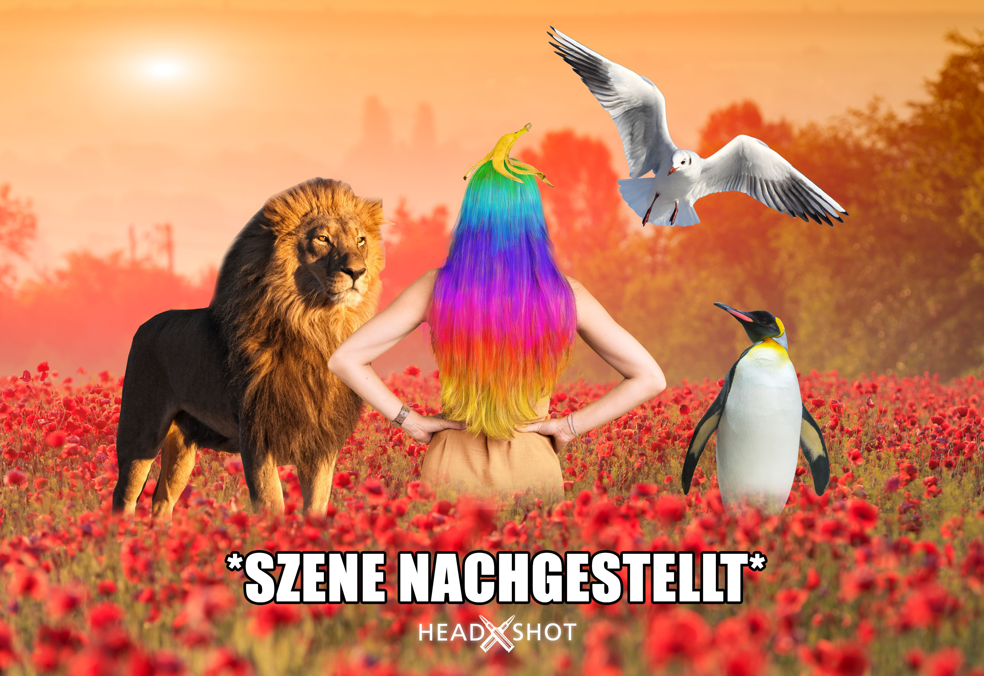 geschichte-von-headshot-haarfarbe